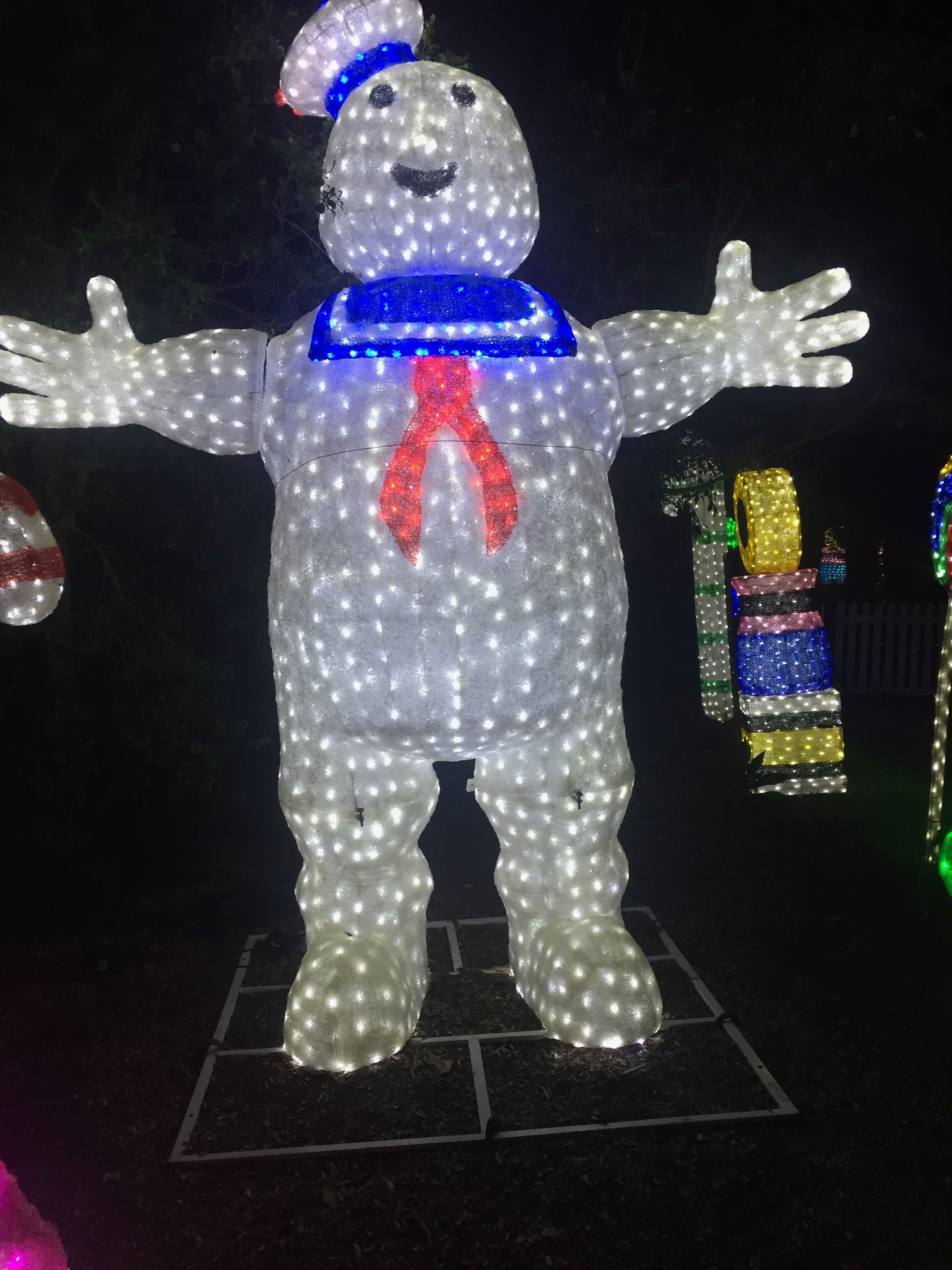 Hunter Valley Christmas Lights Spectacular Image -5b3abbcc6183d